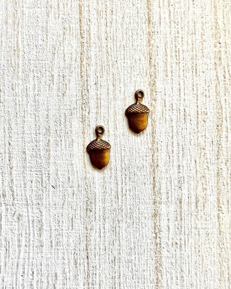 Acorn Charm II