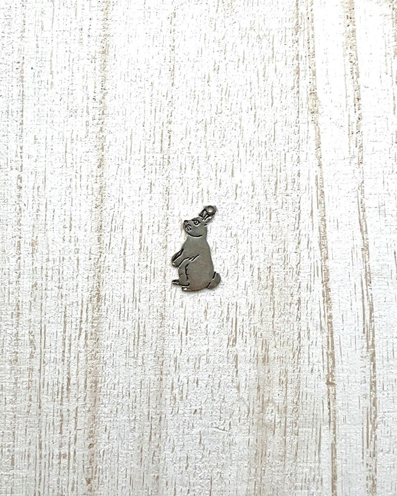 Bunny Charm